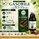 USER GASOBILE.webp